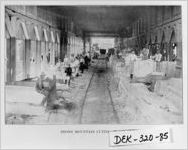 [Photograph of Stone Mountain Granite Company, Stone Mountain, DeKalb County, Georgia, 1901]