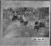 [Photograph of Joseph Bryan Bond and his girlfriend, Rock Chapel, DeKalb County, Georgia, ca. 1892]