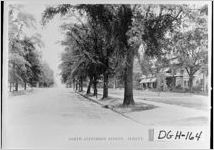 NORTH JEFFERSON STREET - ALBANY.