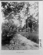 TIFT PARK - ALBANY