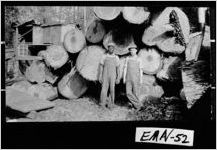 [Photograph of workers at the Swainsboro Lumber Company, Swainsboro, Emanuel County, Georgia, ca. 1935]