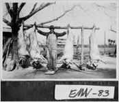 [Photograph of hog killing time at home of I. E. Fordham, Sr., Emanuel County, Georgia, 1946]