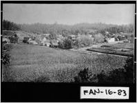 [Postcard of Mineral Bluff, Fannin County, Georgia, ca. 1910-1912]