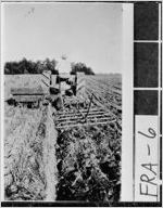 [Photograph of Tatum Grover Stephens plowing on farm, Franklin County, 1929 July]