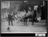 [Photograph of Dr. Hall with wagon and driver, Carnesville, Franklin County, Georgia, ca. 1895]