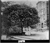 [Photograph of Students at Cox College, College Park, Fulton County, Georgia, ca. 1900]
