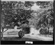 [Photograph of students on Cox College campus, College Park, Fulton County, Georgia, ca. 1900]