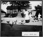 [Photograph of Caroline Fast feeding chickens, Atlanta, Fulton County, Georgia, ca. 1910]