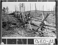 An Old Time Split Rail Fence