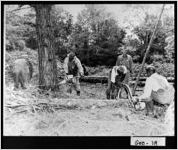 [Photograph of men sawing timber for sawmill operation, Georgia, 194-]