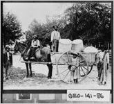 [Photograph of unidentified group beside wagon loaded with cotton, Georgia, ca. 1890]