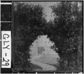 [Stereograph of entrance to Ivy Manor, Saint Simons Island, Glynn County, Georgia, ca. 1900]