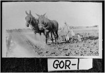 [Photograph of plowing, Gordon County, Georgia, 1935]