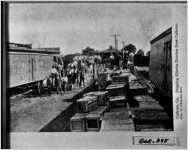 Calhoun, Ga. Shipping Elberta Peaches from Calhoun. Pub by Chastain Bros.