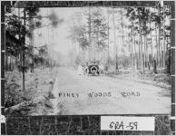 Piney Woods Road