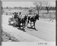 [Photograph of an African-American family riding in a wagon, Greene County, Georgia, 1941 June]