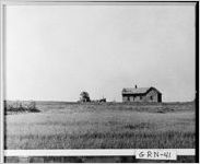 [Photograph of a tenant house in the distance on a field, Greene County, Georgia, 1941 May]