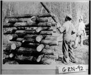 [Photograph of an African-American man stacking logs of timber, Greene County, Georgia, 1950 or 1951]
