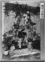 [Photograph of a decorated window inside the Copelan home, Greensboro, Greene County, Georgia, 1902 Dec. 31]