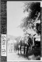 [Photograph of a girl riding a mule, Greshamville, Greene County, Georgia, 1950]