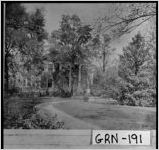 [Photograph of the exterior of the Lewis home hidden behind trees, Greensboro, Greene County, Georgia, 1911]