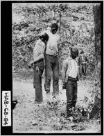 [Photograph of three dead men hanging from a tree, Demorest, Habersham County, Georgia, ca. 1910]