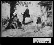 [Photograph of Alexander Martin Stringer, Hall County, Georgia, ca. 1890]