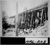 [Photograph of Gainesville and Northwestern Railroad trestle, Hall County, Georgia, 1926]