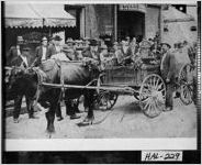 [Photograph of an ox-drawn vegetable wagon, Gainesville, Hall County, Georgia, ca. 1900-1939?]