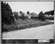 [Photograph of the Daughters of the American Revolution lot at the Alta Vista Cemetery, Gainesville, Hall County, Georgia, 1950]