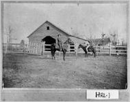 [Photograph of Kinche and Hoke McPherson on horseback in front of the barn, Bremen, Haralson County, Georgia, 1895]