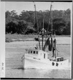 [Photograph of shrimp boat "Miss Lewis" on Jekyll River, Jekyll Island, Glynn County, Georgia, 1976 Mar.]