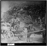 [Photograph of man on wagon, Jenkins County, Georgia, ca. 1930]