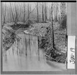 [Photograph of creek on Jesse Middleton Hunt's farm, Jones County, Georgia, ca. 1900]
