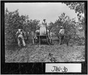 [Photograph of men spraying insecticide at Jesse Middleton Hunt's farm, Jones County, Georgia, ca. 1900]