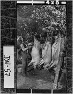 [Photograph of man gutting hogs, Jones County, Georgia, ca. 1910]