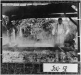 [Photograph of man making syrup, Jones County, Georgia, ca. 1910]