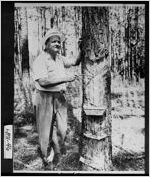 [Photograph of a man making "catface," Laurens County, Georgia, ca. 1954-1956?]