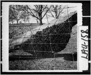 [Photograph of beehive on Weaver Stevens' farm, Montrose, Laurens County, Georgia, ca. 1970]