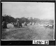 [Photograph of field of haystacks, Lowndes County, Georgia]