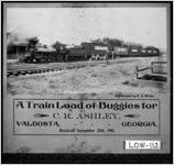 A Train Load of Buggies for C. R. Ashley, Valdosta, Georgia. Received September 28th, 1901 Photographed by D. S. Wilson