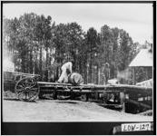 [Photograph of men rolling barrels at turpentine distillery, Lowndes County, Georgia, ca. 1900-1939?]