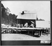 [Photograph of wood-fired turpentine still, Indianola, Lowndes County, Georgia, ca. 1900-1939?]