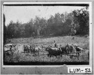 [Photograph of grain threshers, Lumpkin County, Georgia, between 1890 and 1900]