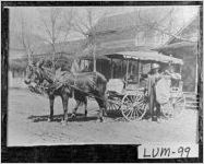 [Photograph of mail carrier with mules and mail wagon, Auraria, Lumpkin County, Georgia, between 1904 and 1910]