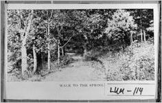 WALK TO THE SPRING.
