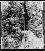 [Photograph of water tube for mining, Lumpkin County, Georgia, ca. 1900]