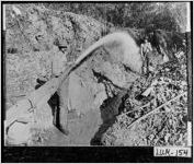 [Photograph of Calhoun Gold Mine, Lumpkin County, Georgia, 1900]