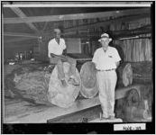 [Photograph of lumber, Forsyth, Monroe County, Georgia, between 1950 and 1970]
