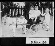 [Photograph of goat cart, Monroe County, Georgia, ca. 1900-1939?]